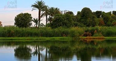 حماية مجرى نهر النيل: تطهير 2,424 كم لتعزيز استدامة الموارد المائية