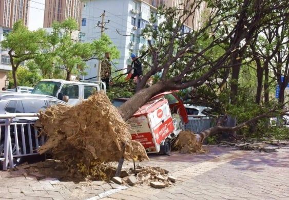 زلزال بباكستان وعواصف مميتة فى الهند ونيبال ورياح عاتية بالصين