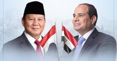 الرئيس السيسى ونظيره الإندونيسى يؤكدان ضرورة بدء إعادة إعمار غزة دون تهجير.. إنفوجراف