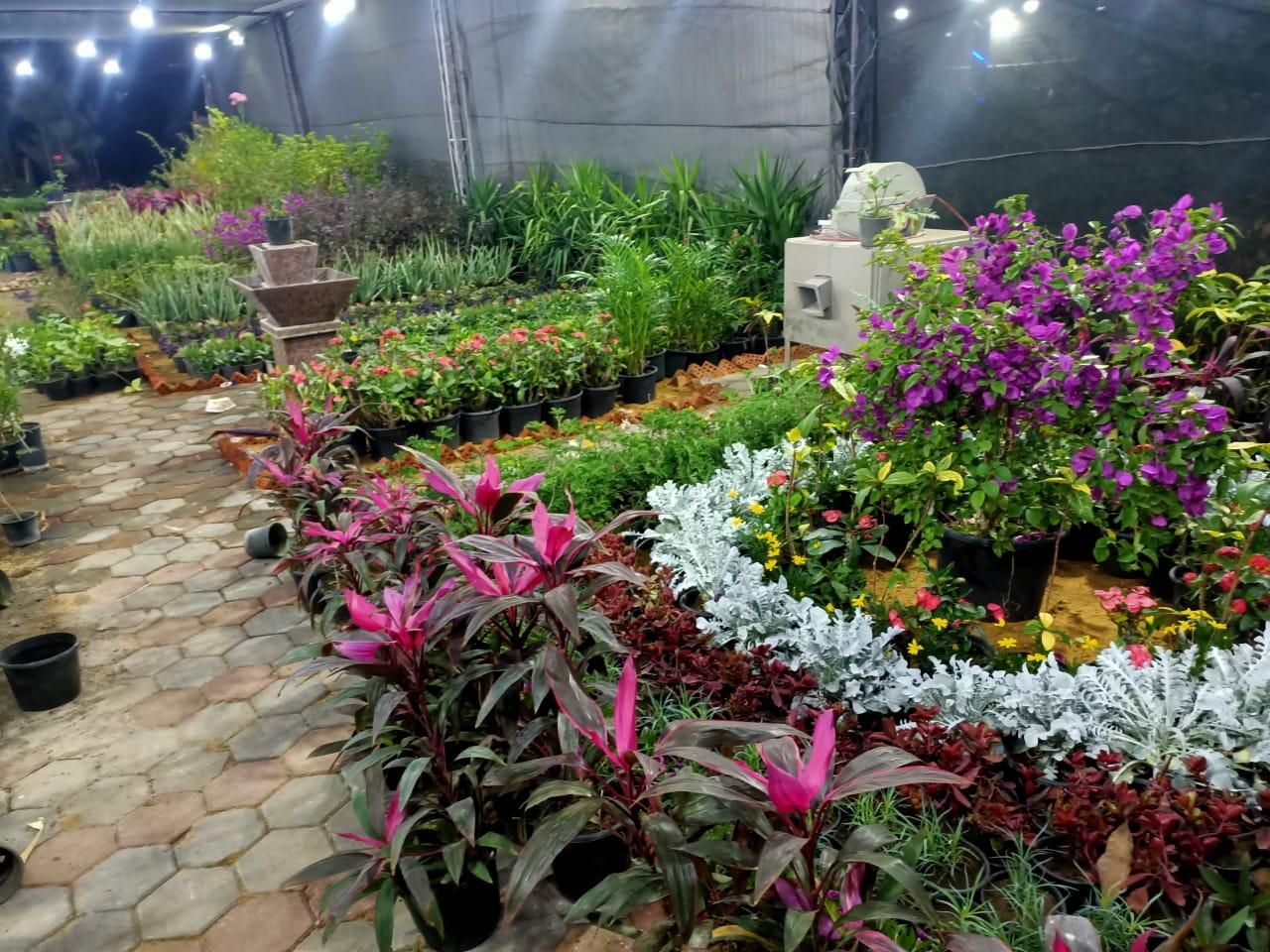 شاهد معرض زهور الربيع قبل افتتاحه الأسبوع الحالى.. صور