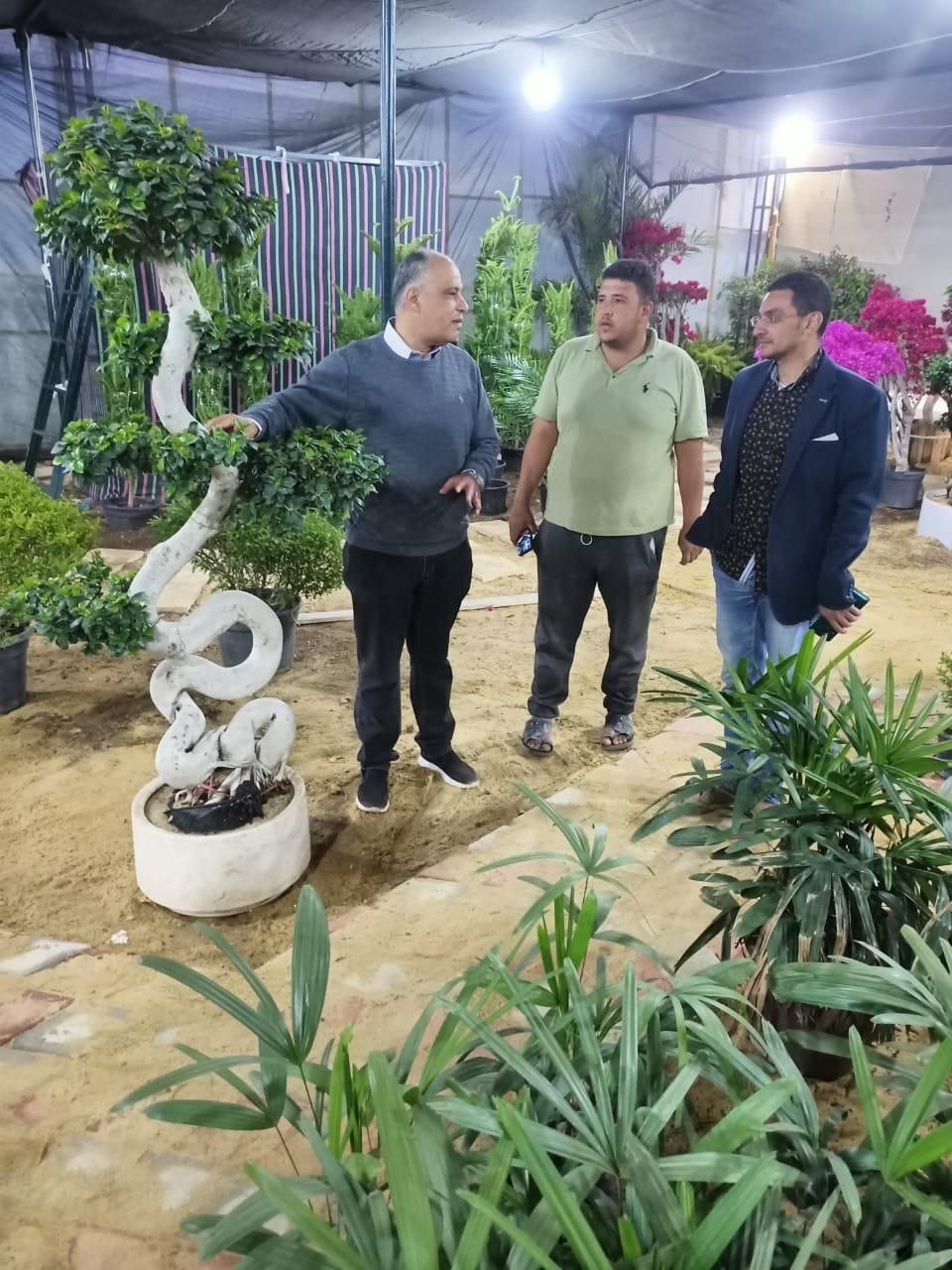 شاهد معرض زهور الربيع قبل افتتاحه الأسبوع الحالى.. صور