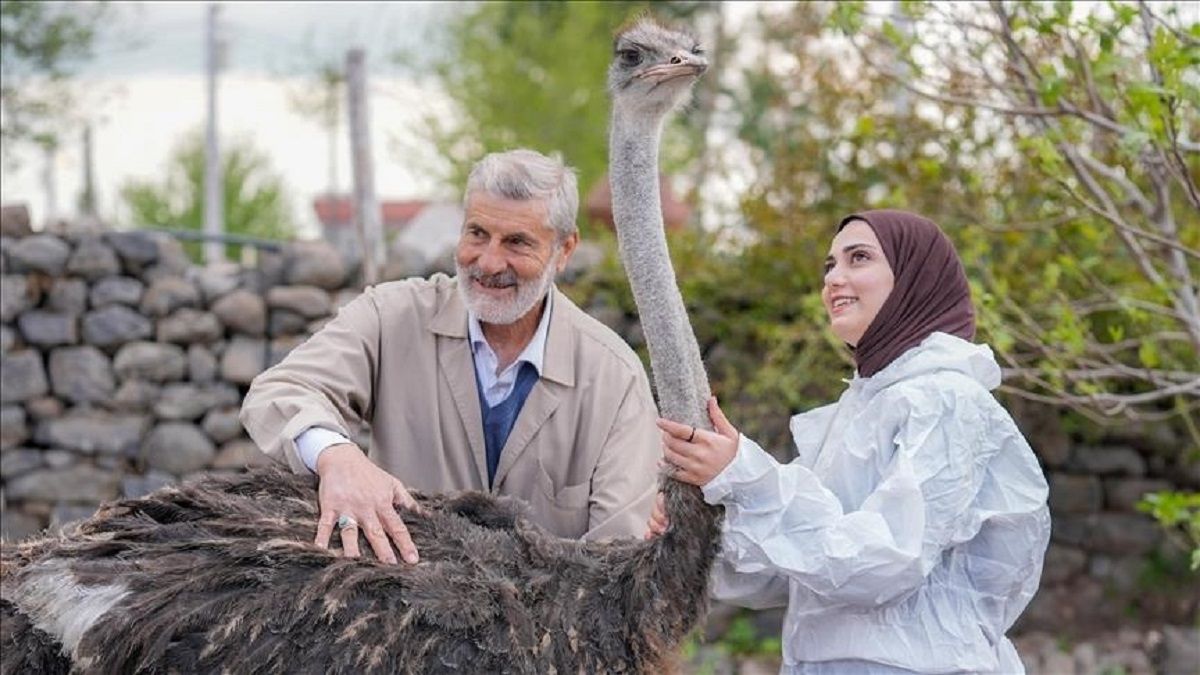 الامارات | تحتاج إلى «زوج» يُخفف عنها وحدتها.. نعامة هاربة تنال شهرة واسعة في تركيا