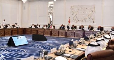 الرئيس السيسى: لم تعد هناك مشكلة فى تحويل العوائد بالعملات الصعبة إلى خارج مصر لأى مستثمر