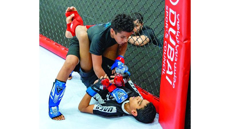 الامارات | نزالات محتدمة في بطولة الإمارات للفنون القتالية المختلطة