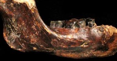 تكنولوجيا: اكتشاف فك قديم يرسم صورة أوضح للإنسان الدينيسوفاني