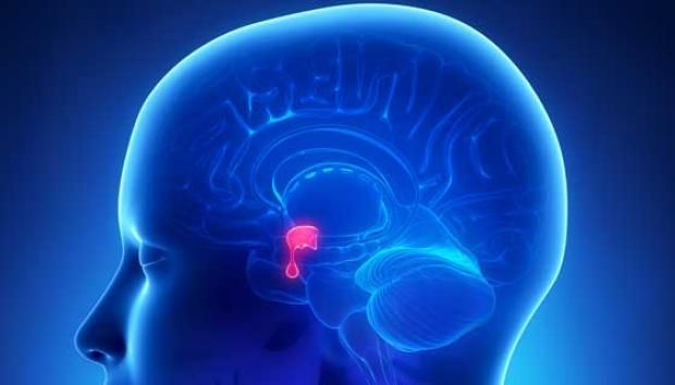 هل إزالة الغدة الدرقية تؤثر على المزاج والحالة النفسية؟