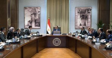 رئيس الوزراء: مصر مستعدة لتنفيذ أي مشروعات تنموية فى الدول الأفريقية الشقيقة