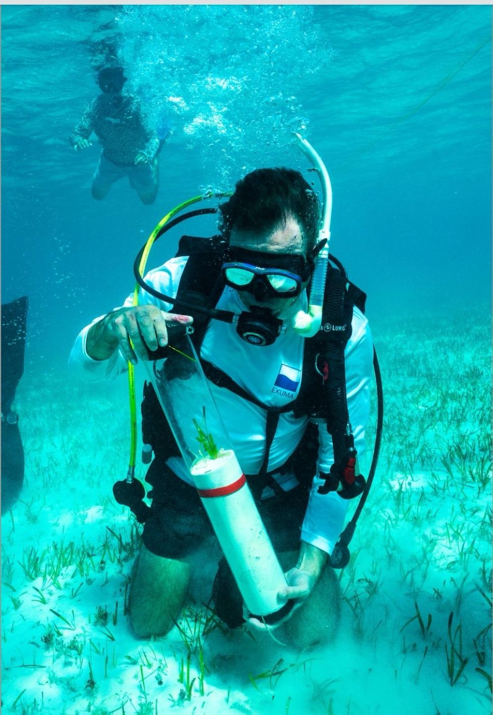 أستاذ في كاوست لـ"اليوم": السعودية غيرتني للأفضل واحتضنت أبحاث الكربون الأزرق