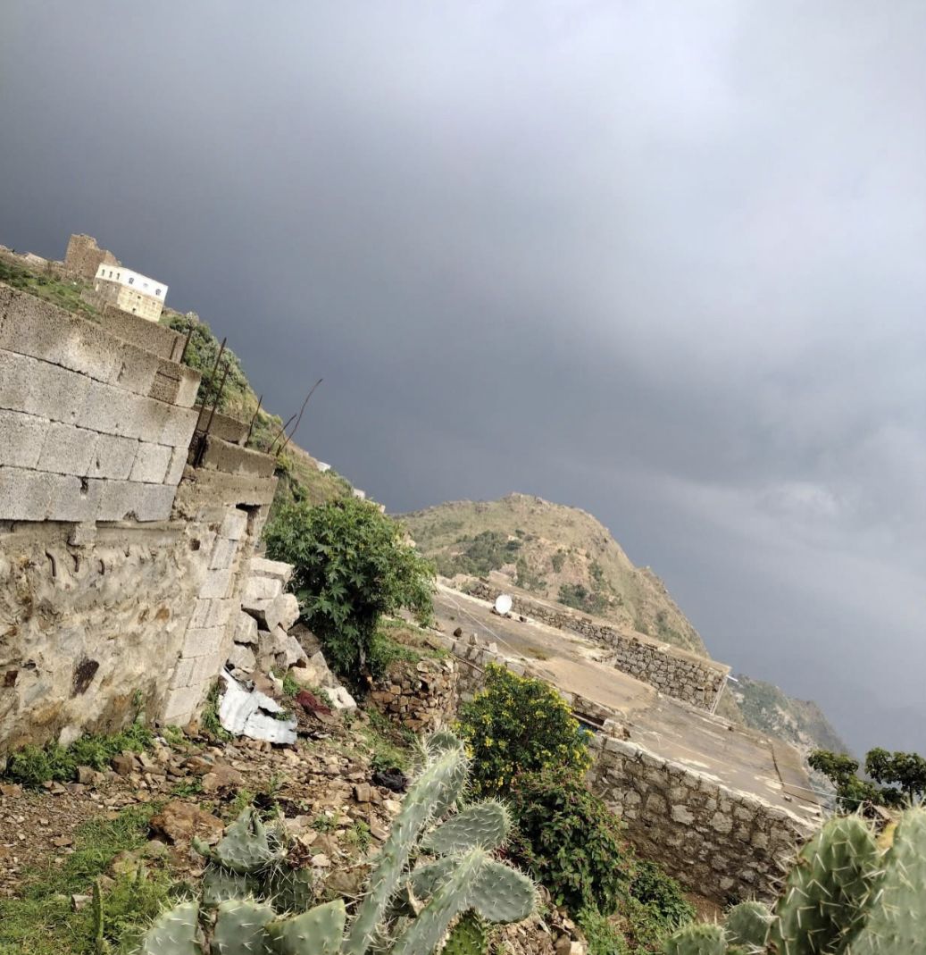 "مختل عقلي يتحدى الألغام ويصادر كنزًا ثمينًا من الحوثيين، مما يشعل حصارًا في تعز!"