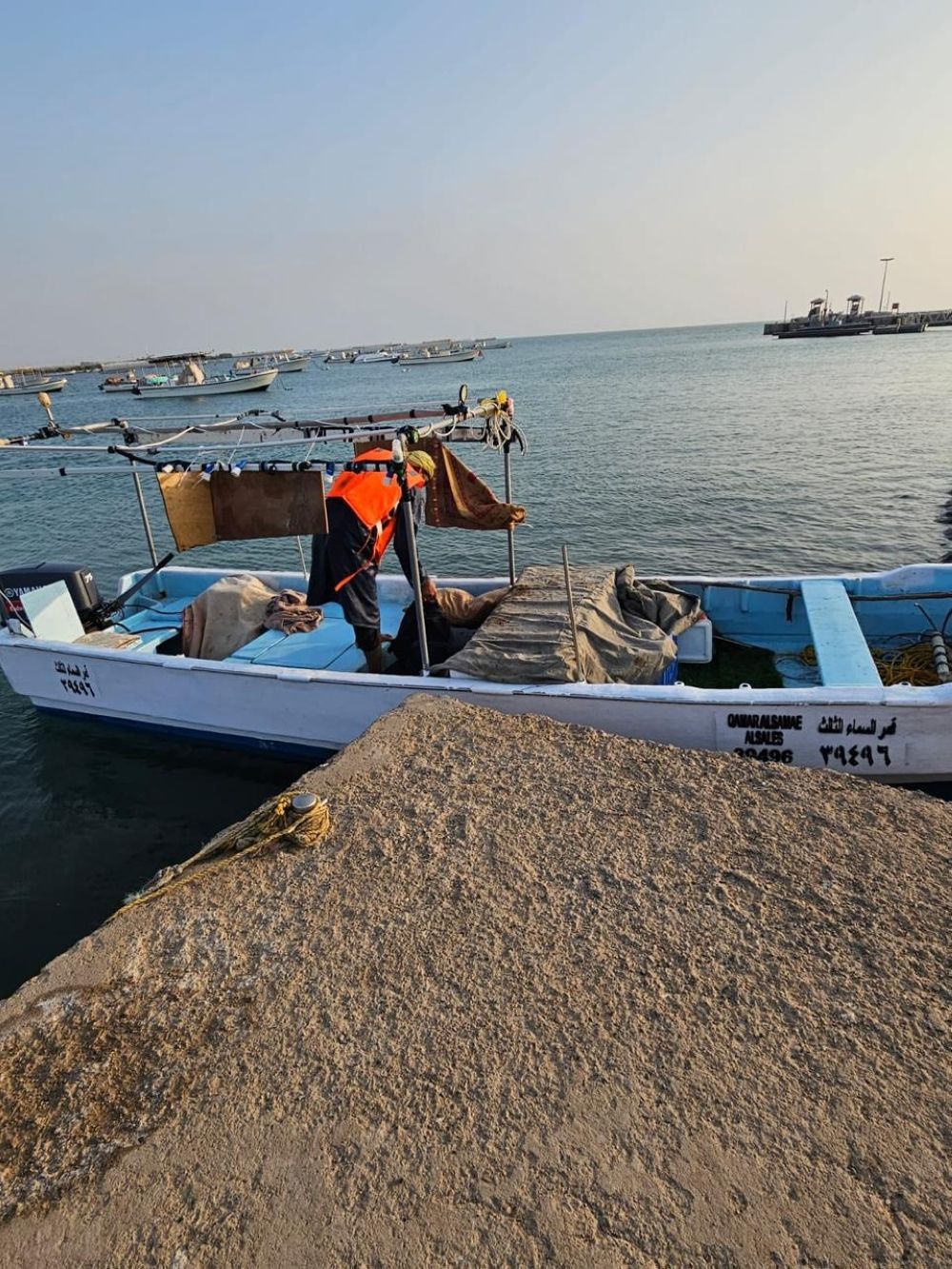 رقابة على مرفأ الصيد لضبط حظر ”الناجل“.. وتشجير مركز القضيمة