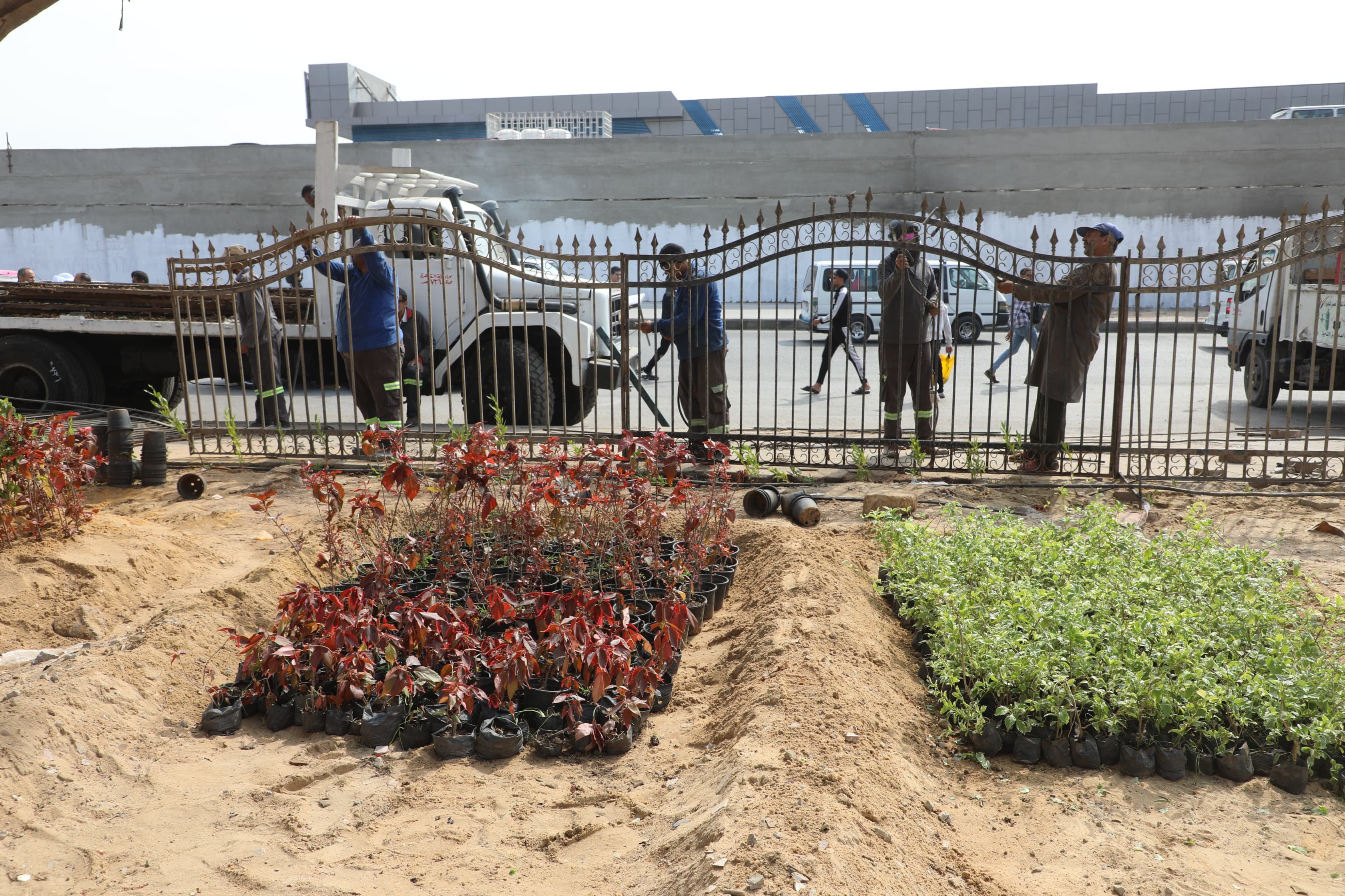 محافظ القاهرة يوجه بتطوير وتشجير محيط موقف السلام الجديد.. صور