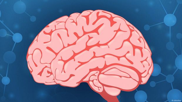 10 دقائق قد تُغير يومك بالكامل.. فوائد الراحة القصيرة للعاملين أمام الشاشات