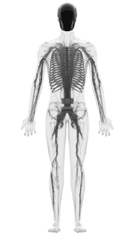 تكنولوجيا: أول "إنسان اصطناعى" بالعالم.. روبوت بروتوكلون بعضلات وعظام وأوتار صناعية