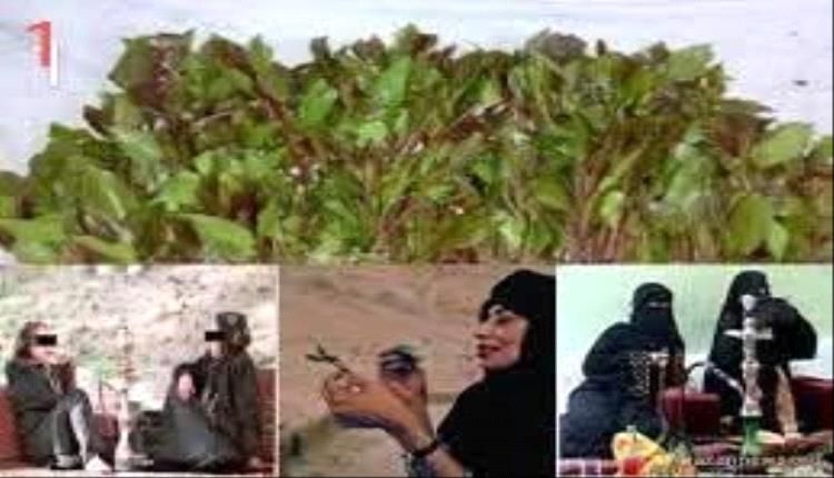 أسرار لا تنتهي...مجالس القات النسائية في تعز"بين الدندنة والسياسة"
