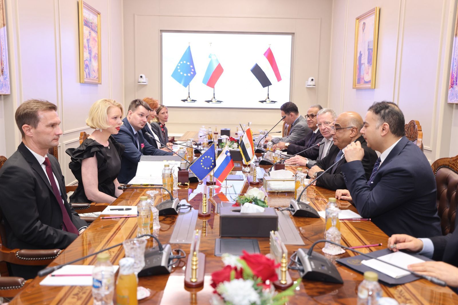 وزير العدل يستقبل رئيسة البرلمان السلوفينى ​لتعزيز التعاون بين البلدين