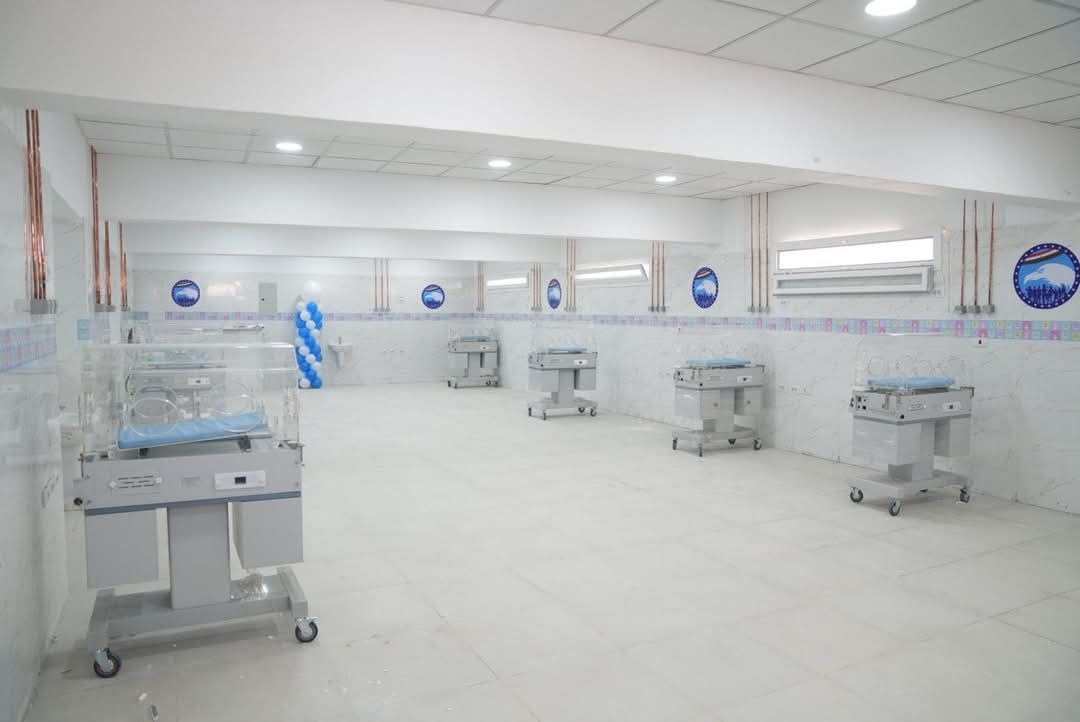 محافظة الشرقية تنجح فى القضاء على قوائم انتظار حضانات المبتسرين.. صور