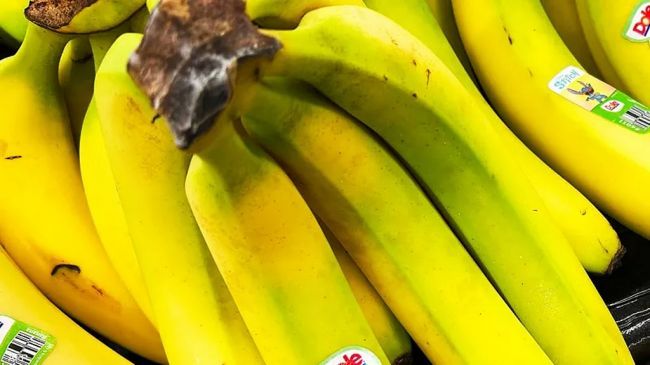 لا ترمه مجدداً.. قشر الموز يتحول إلى "دقيق خارق" يعزز المناعة ويحارب الأمراض