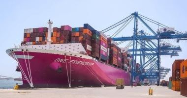 ميناء دمياط يشهد تداول 20 سفينة ويستقبل 69293 طن بضائع