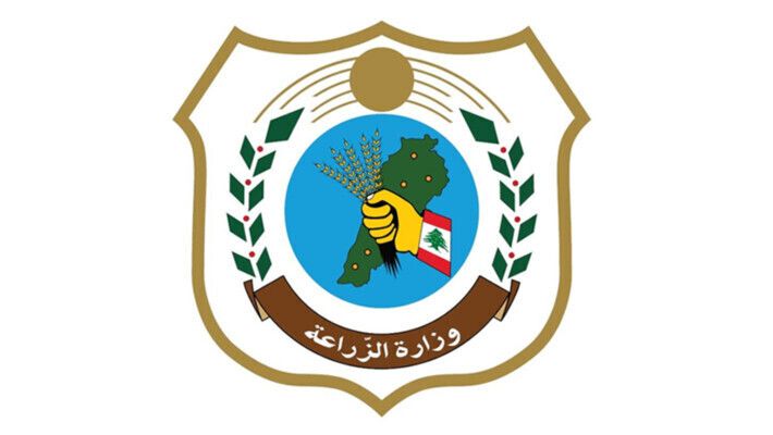 وزارة الزراعة: مفرزة البحث في الجمارك صادرت أكثر من 17 طنًا من الفواكه المهرّبة وسلّمتها للجيش