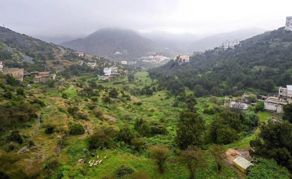 الدمام 29 مئوية.. بيان درجات الحرارة العظمى على بعض مدن المملكة