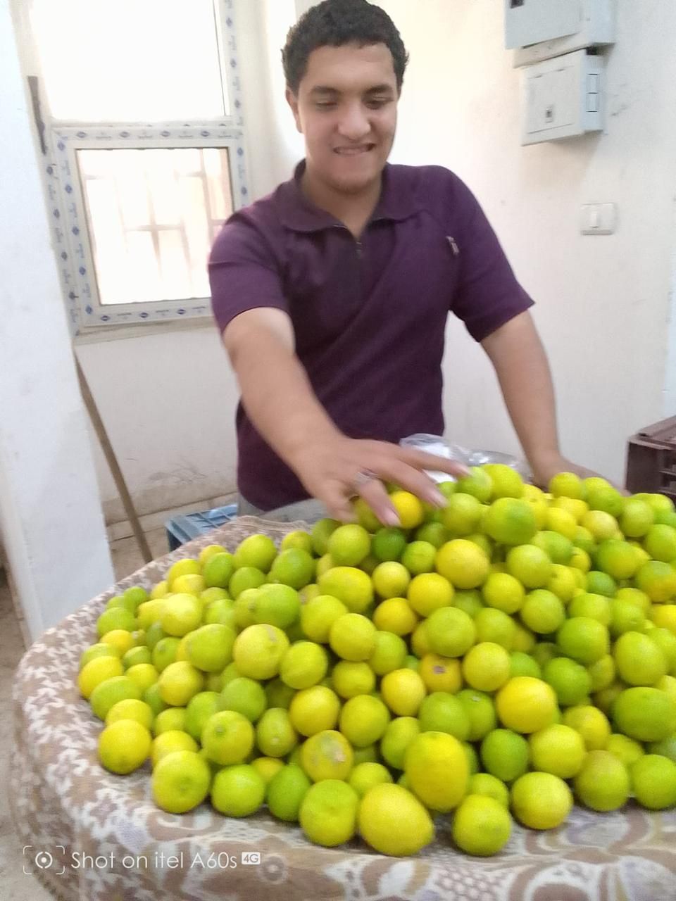 محافظ الجيزة يعلن بدء تسكين الباعة بسوق العياط الحضارى الجديد.. صور