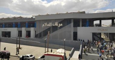 تشجير محيط موقف السلام الجديد بعد إزالة العشوائية ونقل الباعة.. فيديو