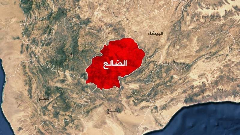 القوات الحكومية تفشل هجوماً لمليشيا الحوثي شمالي الضالع