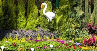 تعرف على محتويات معرض زهور الربيع قبل افتتاحه السبت المقبل