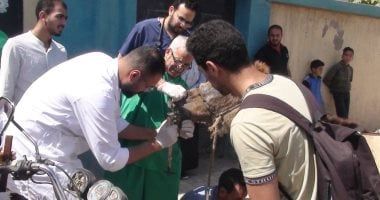 علاج وفحص 312 حيوانا فى قافلة بيطرية بالجيزة