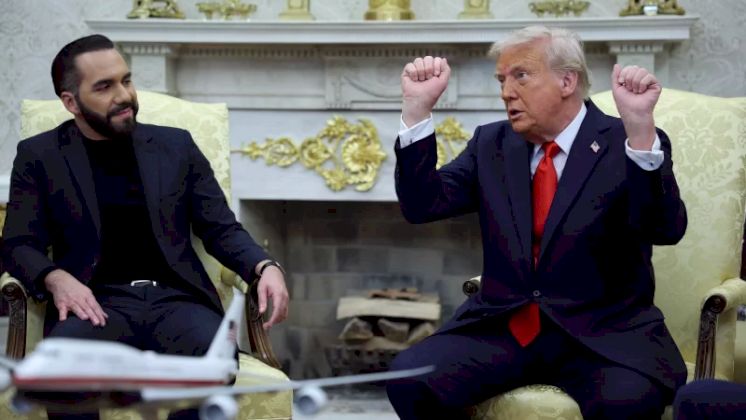 نيوزويك الأميركية: هل يمكن أن يتعرض المواطن الأمريكي للترحيل تحت إدارة ترامب؟