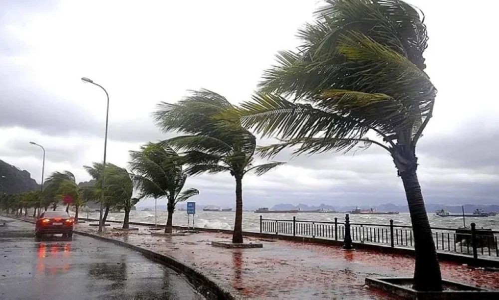 طقس السبت.. أمطار رعدية وزخات من البرد على أجزاء من 10 مناطق