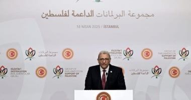 وكيل مجلس النواب خلال أول اجتماع للبرلمانات الداعمة لفلسطين: نرفض التهجير