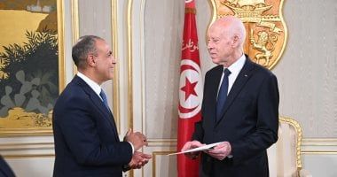 وزير الخارجية يسلم رسالة خطية من الرئيس السيسي إلى الرئيس التونسي