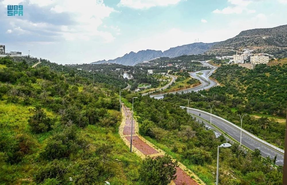 32 % نمو تراخيص السفر والسياحة