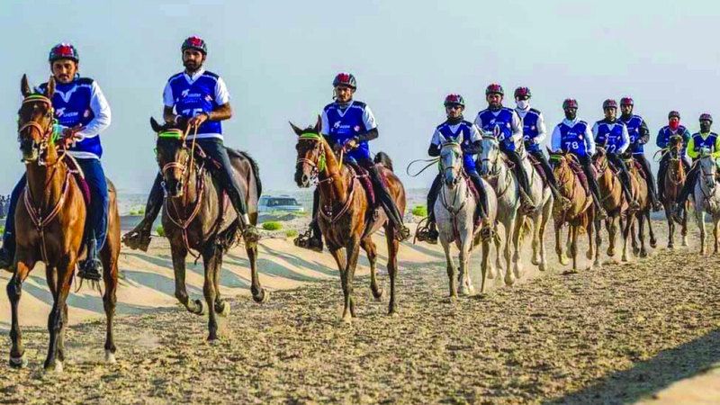 الامارات | 444 فارساً في ختام موسم القدرة