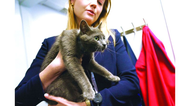 الامارات | «صوفي» تخترق حراسات البيت الأبيض.. وتثير ضجة