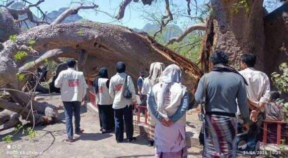 شاهد.. انشطار اهم ارث بيئي وثقافي بتعز