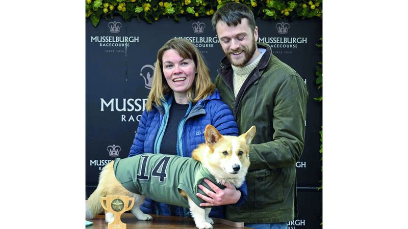 الامارات | الكلاب المفضَّلة للملكة إليزابيث تتنافس في «كورجي ديربي» 