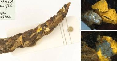 تكنولوجيا: باحثون: العثور على ميكروبلاستيك في حشرات مائية منذ سبعينيات القرن الماضي