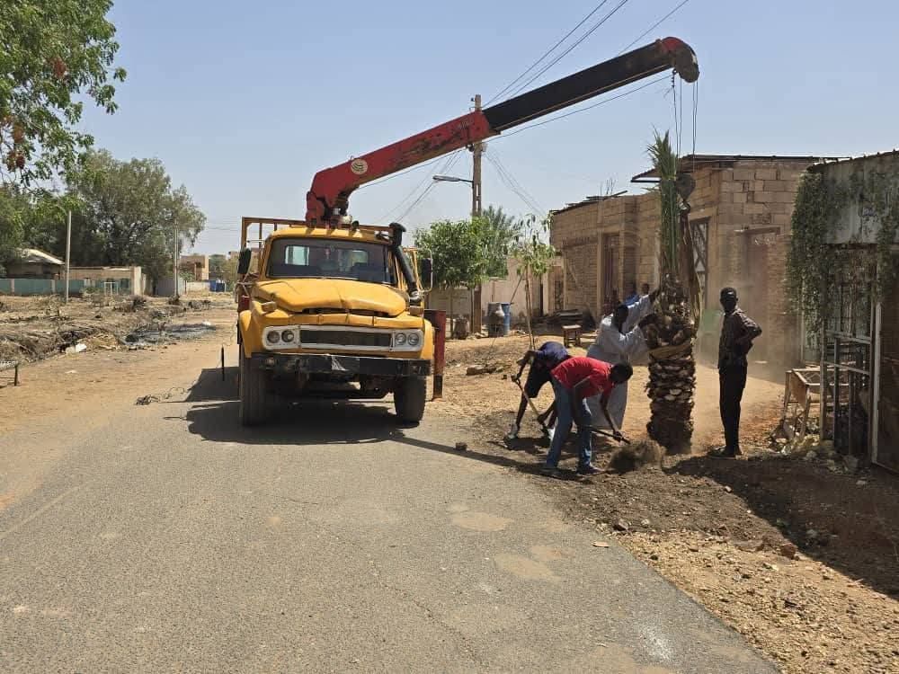 شاهد بالصور.. مدينة بحري تشهد عملية زراعة النخيل بالشوارع العامة وسط سعادة الأهالي والسكان يعودون إليها بعد نزوح طويل