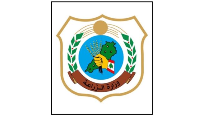 وزارة الزراعة أطلقت دعوة لدعم البطاطا اللبنانية مع بدء موسم الحصاد