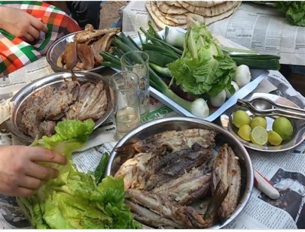 هل يمكن للأطفال تناول الفسيخ والرنجة؟.. نصائح مهمة للأمهات