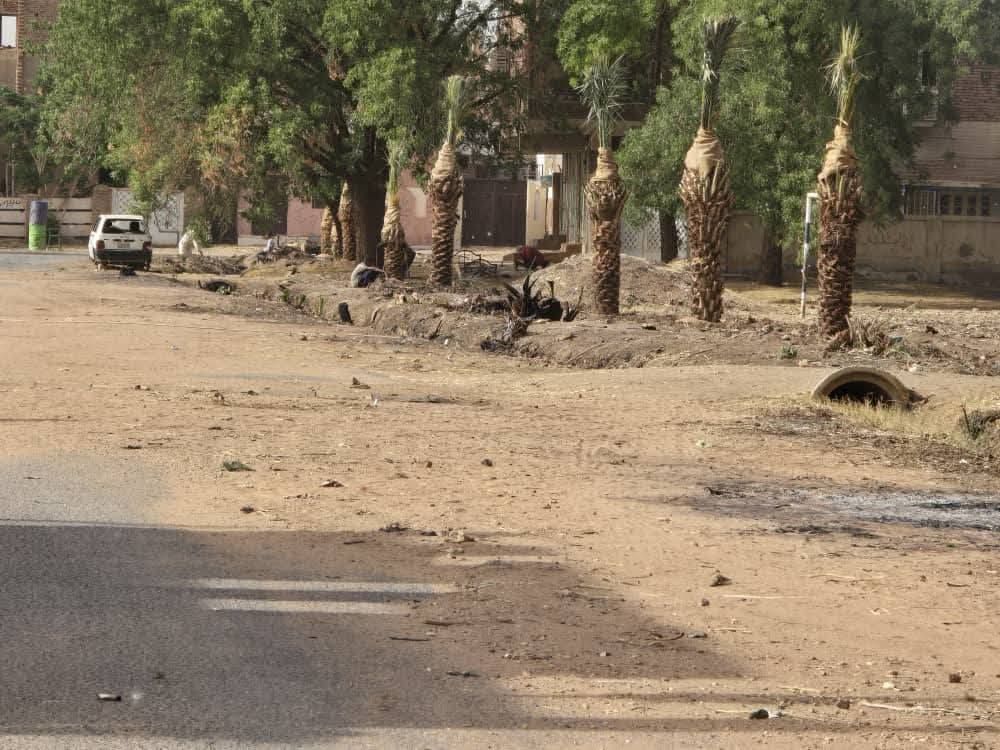 شاهد بالصور.. مدينة بحري تشهد عملية زراعة النخيل بالشوارع العامة وسط سعادة الأهالي والسكان يعودون إليها بعد نزوح طويل