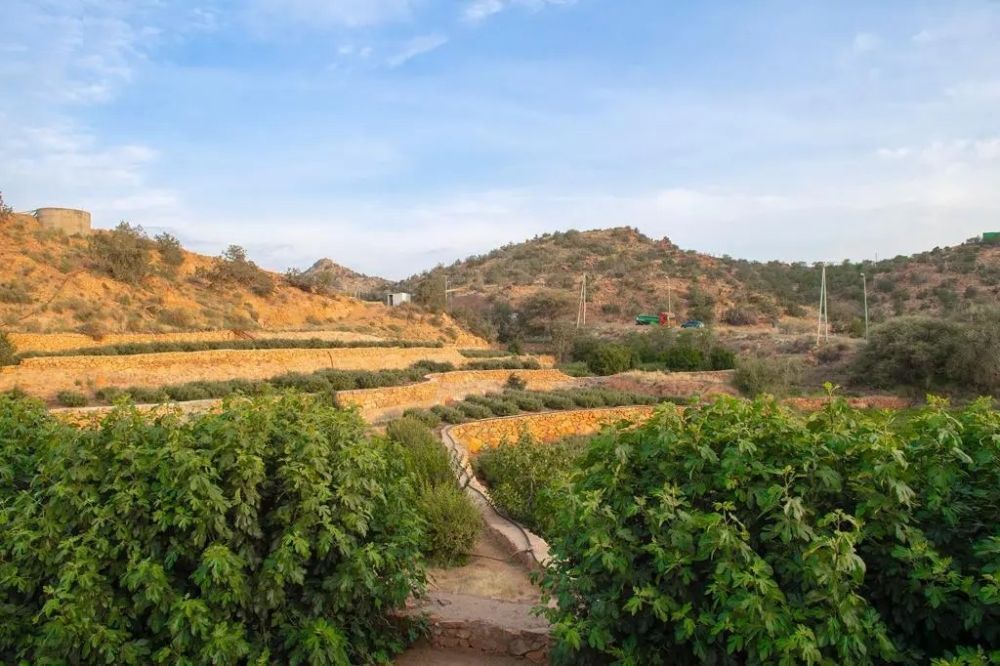 الدمام 36 مئوية.. بيان درجات الحرارة العظمى على بعض مدن المملكة