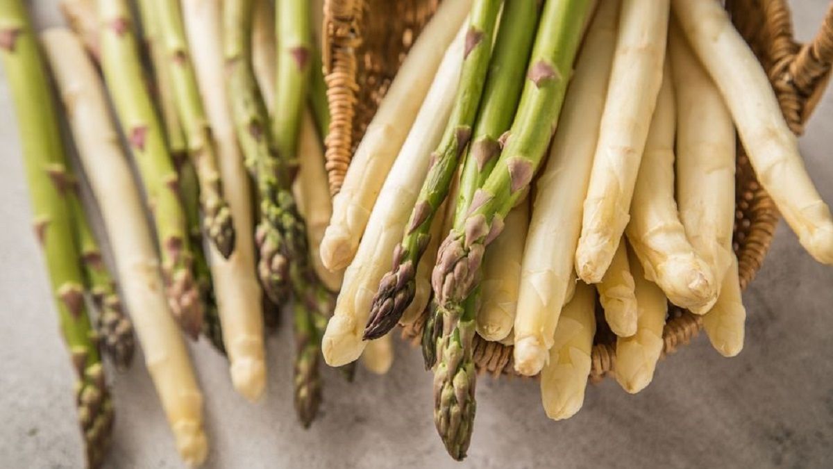 الامارات | كنز غذائي يساعد على إنقاص الوزن.. خبراء ينصحون بالهليون: مفتاح للرشاقة