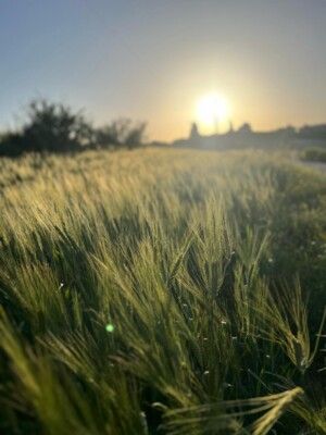 لبنان القياميّ