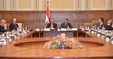 وزير الخارجية يبحث مع لجنة حقوق الإنسان بمجلس النواب تعزيز التنسيق بالملف الحقوقى