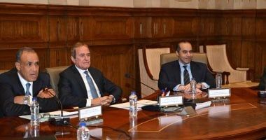 وزير الخارجية أمام "الشيوخ": المجتمع الدولى أقر بإنجازات مصر بمجال حقوق الإنسان