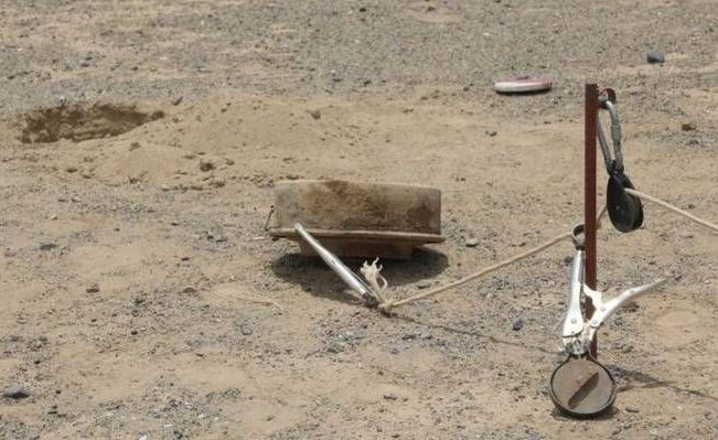 الحديدة.. اكتشاف حقل ألغام من مخلفات مليشيا الحوثي في منطقة السويدية بمديرية الخوخة