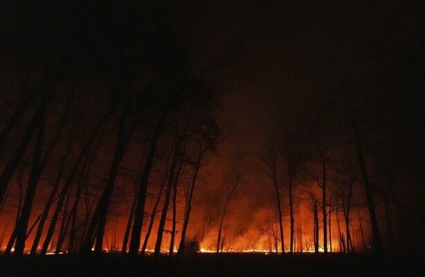 إجلاء آلاف السكان بسبب حرائق غابات ضخمة في نيوجيرسي الأميركية واقتراب النيران من محطة نووية سابقة
